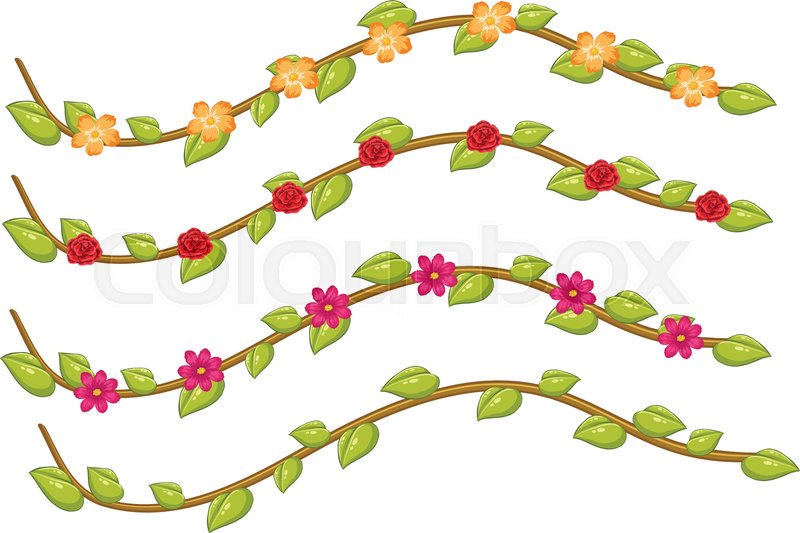 800x533 A Set Of Flower Vine Illustration Stock Vector Colourbox