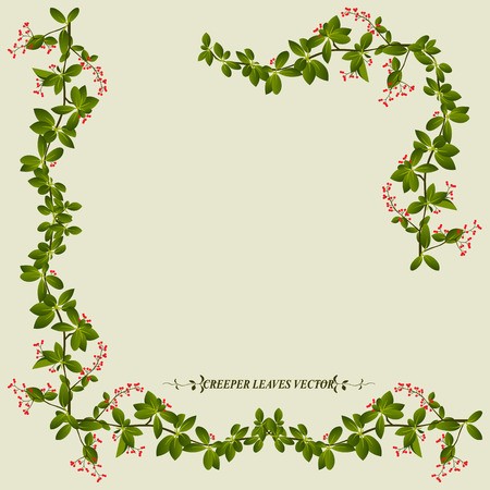 450x450 Border Of Creeper Flower Vine Plant Vector Illustration Royalty