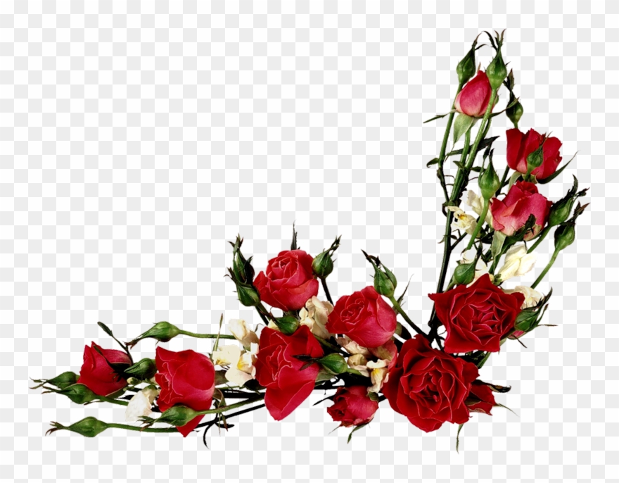 Vector Flowers, Flower Clipart, Vintage Roses, Vintage 880x686 Vector Flowers, Flower Clipart, Vintage Roses, Vintage