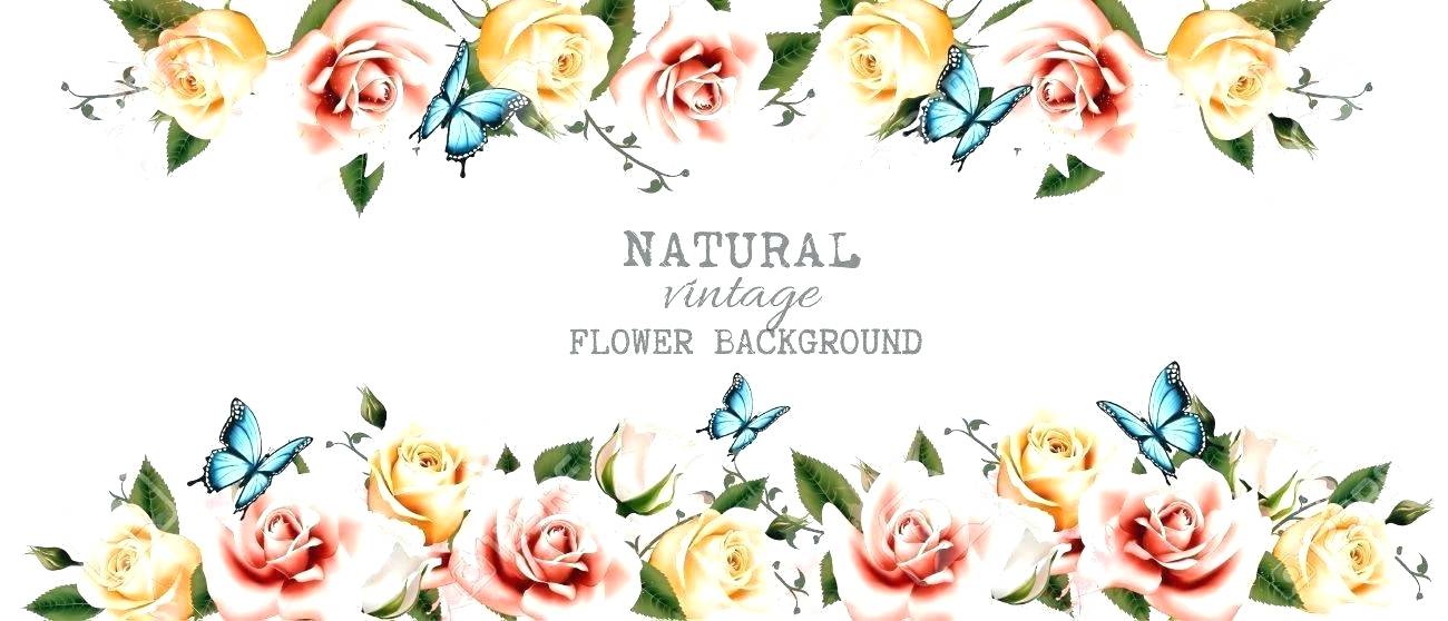 Vector Vintage Flowers Png 1300x558 Vector Vintage Flowers Png