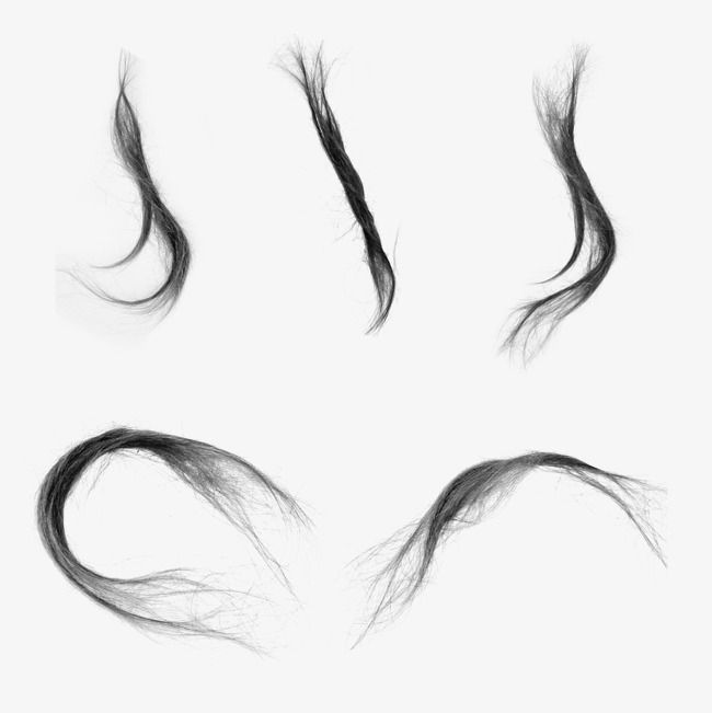 Flowing Hair Vector at Vectorified.com | Collection of Flowing Hair ...