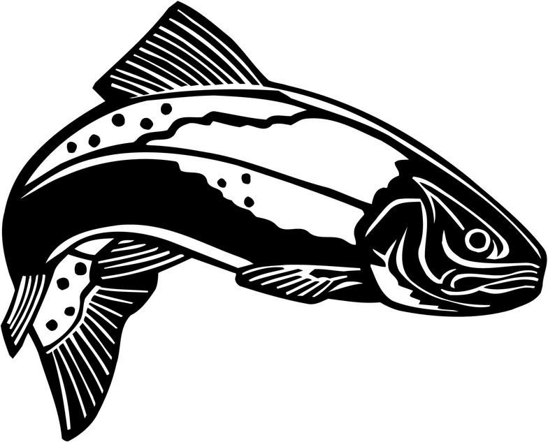 Trout Clip Art 784x633 Trout Clip Art