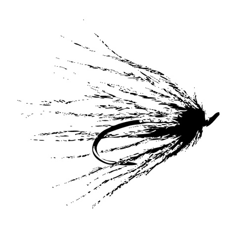 500x508 Gary Borger Blog Archive A Vector Fly