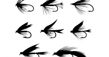 367x195 Saltwater Fly Fishing Vector Archives