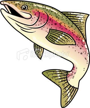 318x380 Cartoon Rainbow Trout Fish Art, Rainbow Trout Picture, Rainbow