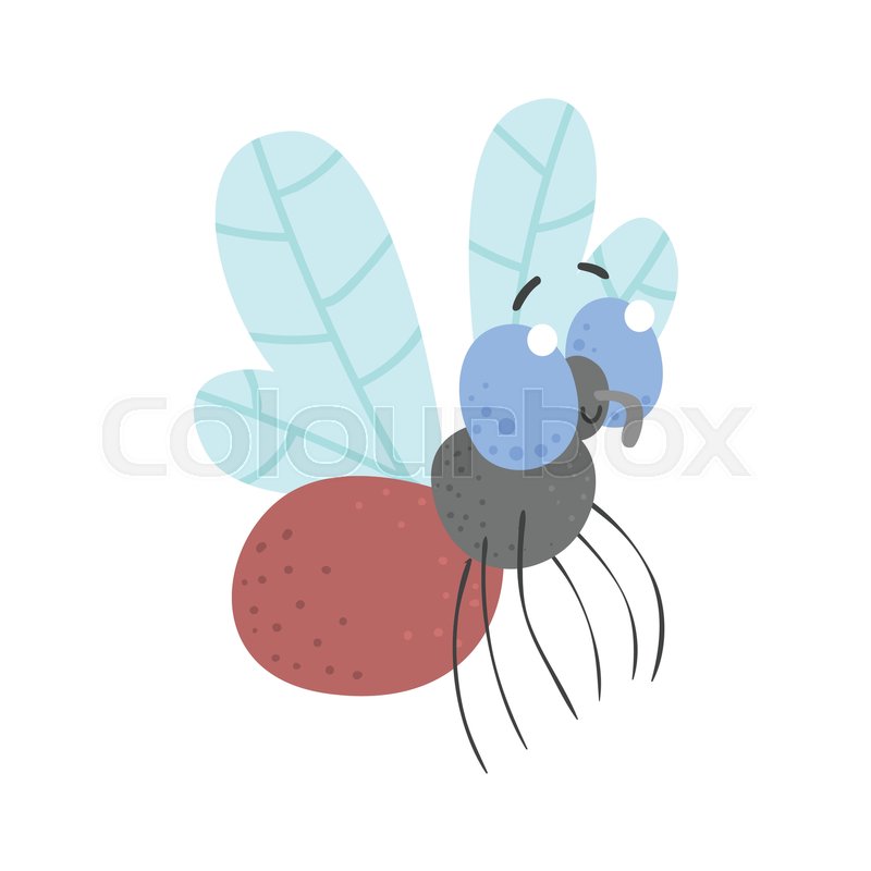 800x800 Cute Cartoon Fly Insect Character Stock Vector Colourbox
