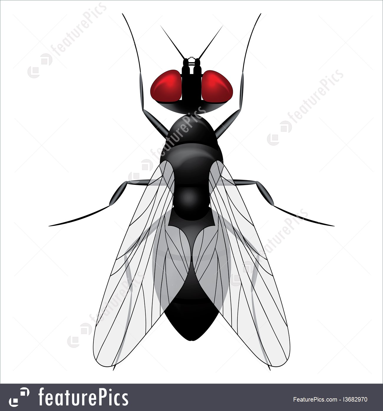 1300x1392 Fly Insect Sketch Symbol Illustration