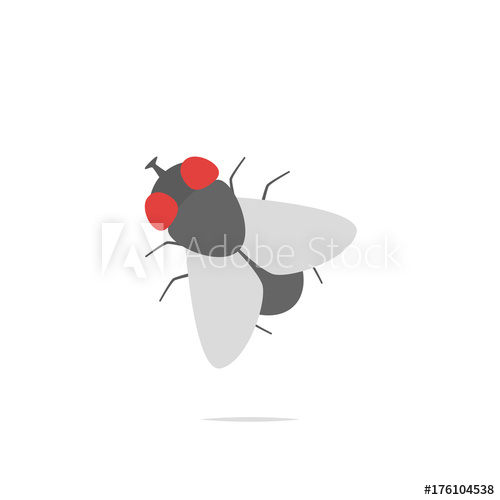 500x500 Fly Insect Vector