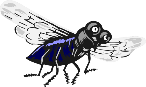 500x297 Fly Insect Vector Image