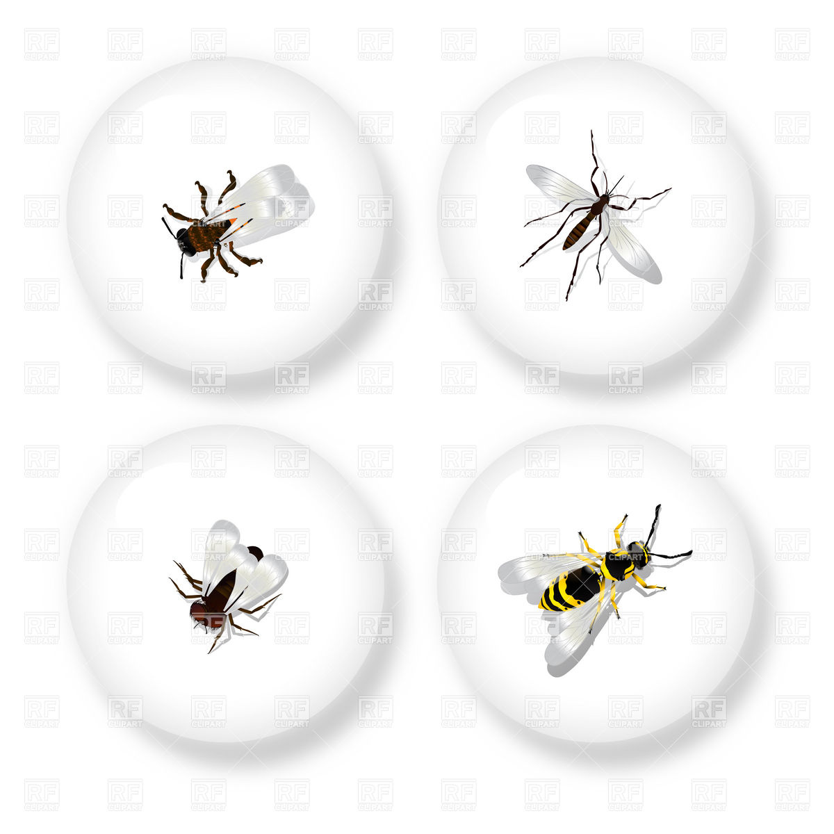 1200x1200 Flying Insects