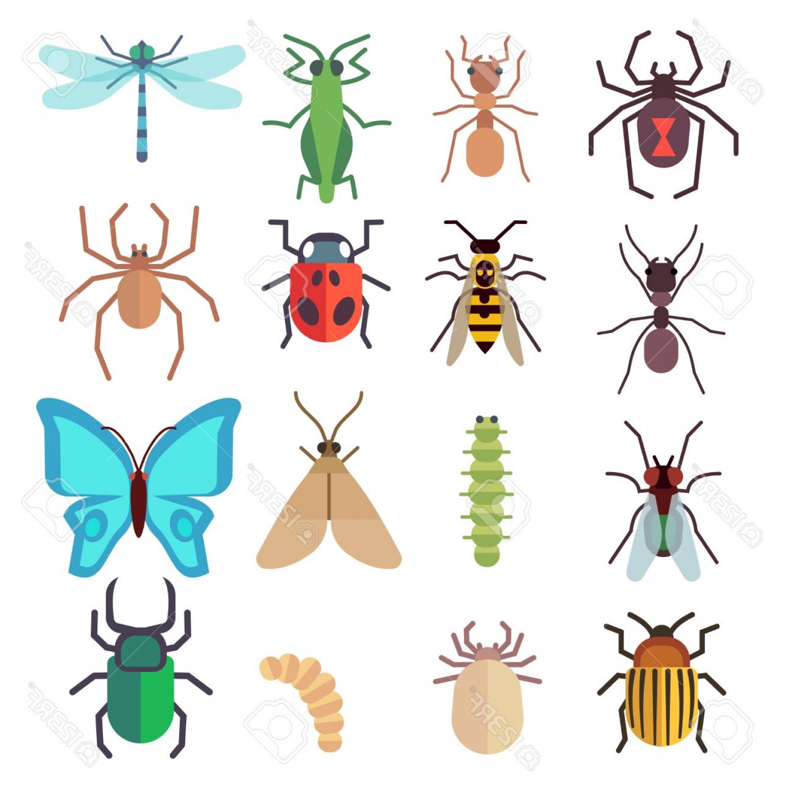 1558x1560 Photostock Vector Insect Vector Flat Icons Set Butterfly And Bug