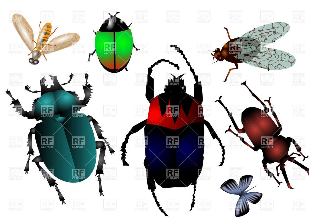 1200x849 Set Of Insects Vector Image Of Plants And Animals Arkela