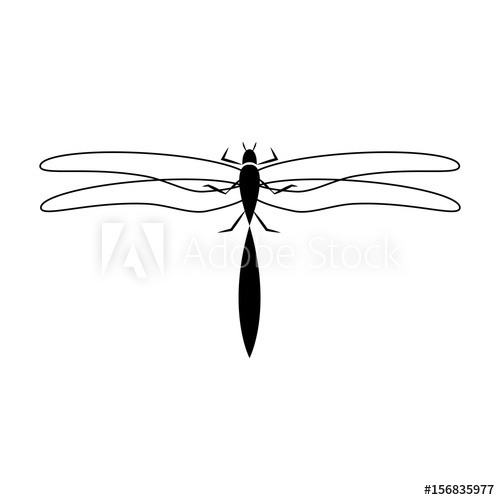 500x500 Dragon Fly Insect Vector Illustration