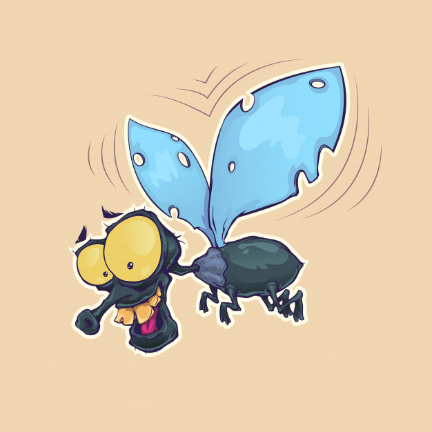 626x626 Cartoon Fly Insect Vector Premium Download