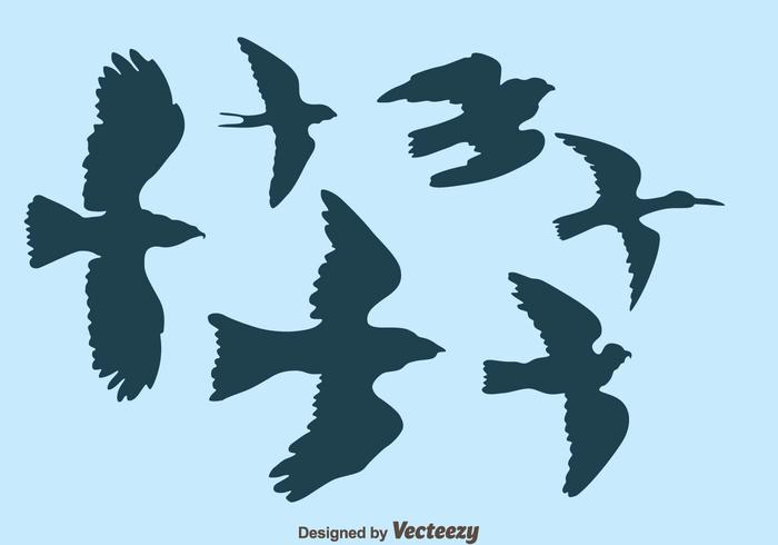 700x490 Flying Bird Silhouette Vector Stock Images