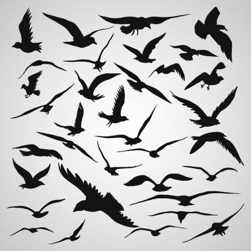 500x500 Flying Bird Silhouettes Vector
