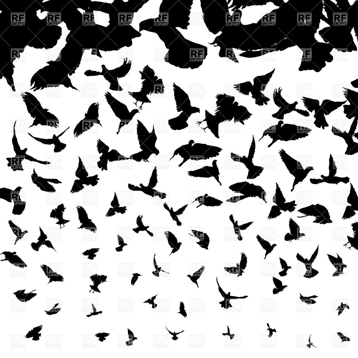 1200x1200 Background With Flying Birds Silhouettes Vector Image Of Plants