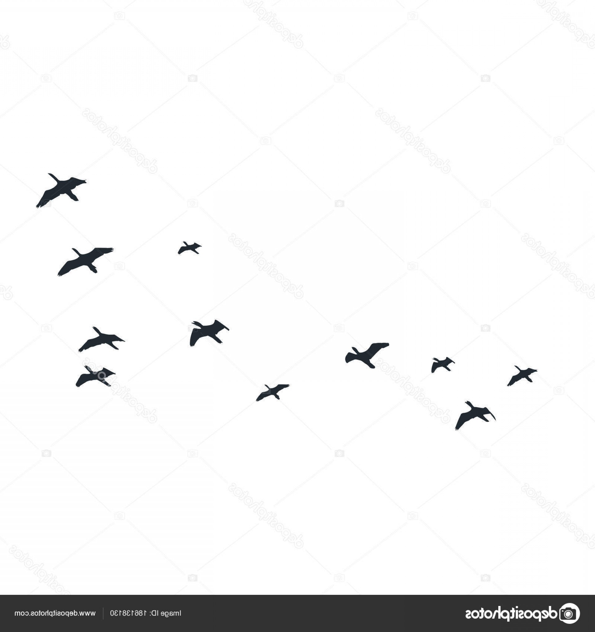 1920x2040 Stock Illustration Flying Birds Silhouettes On White Soidergi