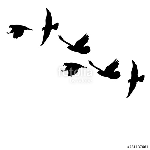 500x500 Set Of Flying Birds Silhouettes Stock Image And Royalty Free