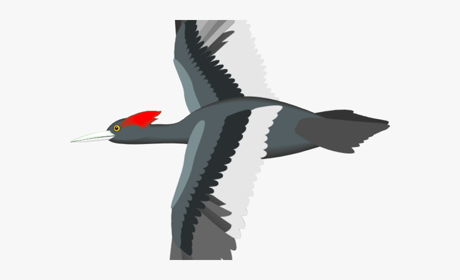 Flying Bird Clipart Bird Png 920x560 Flying Bird Clipart Bird Png