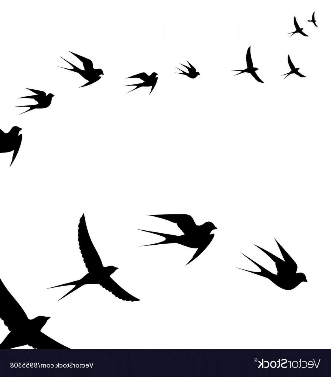 A Flock Of Flying Birds Vector Cqrecords 1138x1296 A Flock Of Flying Birds Vector Cqrecords
