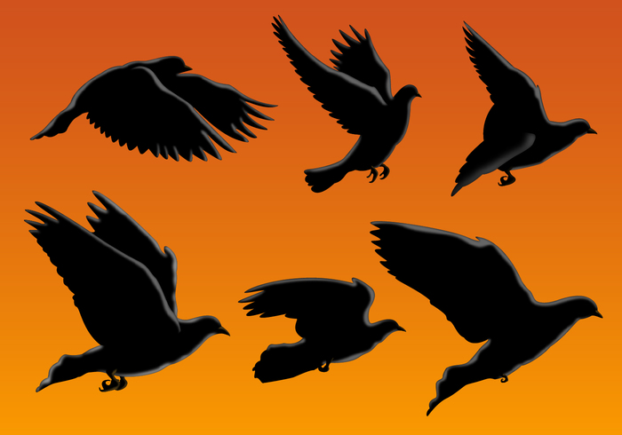 Flying Silhouette Bird Vectors 700x490 Flying Silhouette Bird Vectors