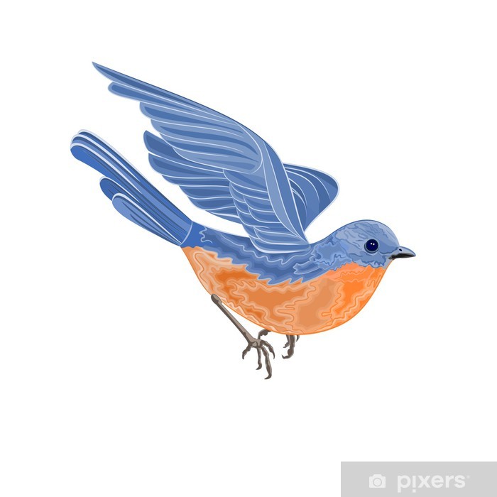 Flying Bird Vector Illustration Without Gradients Sticker Pixers 700x700 Flying Bird Vector Illustration Without Gradients Sticker Pixers