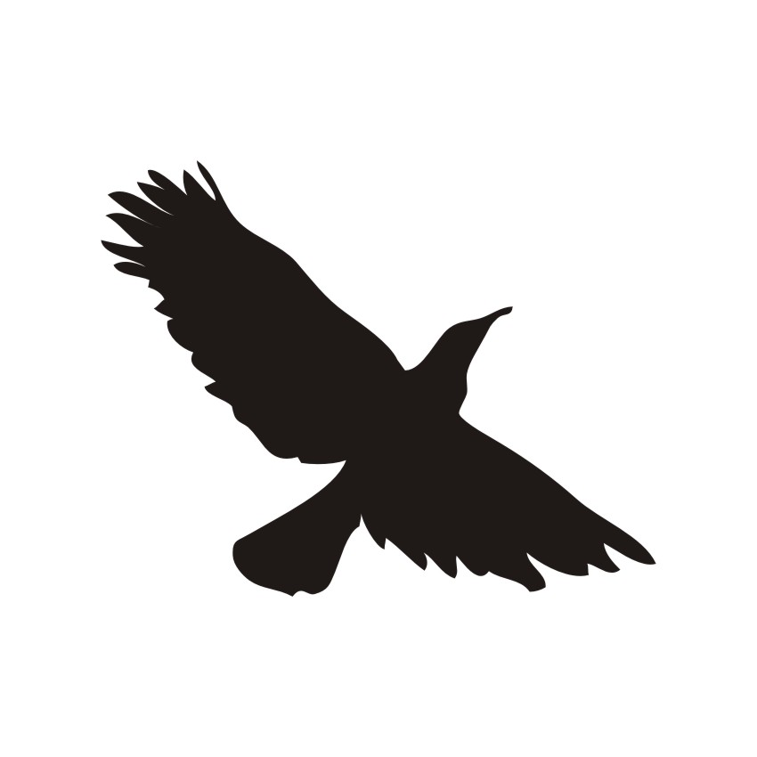 Flying Bird Vector, Pigeon Vectors, Corel Files 850x850 Flying Bird Vector, Pigeon Vectors, Corel Files