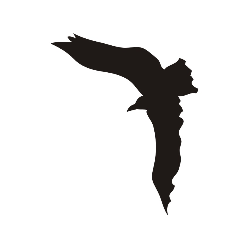 Flying Bird Vector, Pigeon Vectors, Corel Files 850x850 Flying Bird Vector, Pigeon Vectors, Corel Files