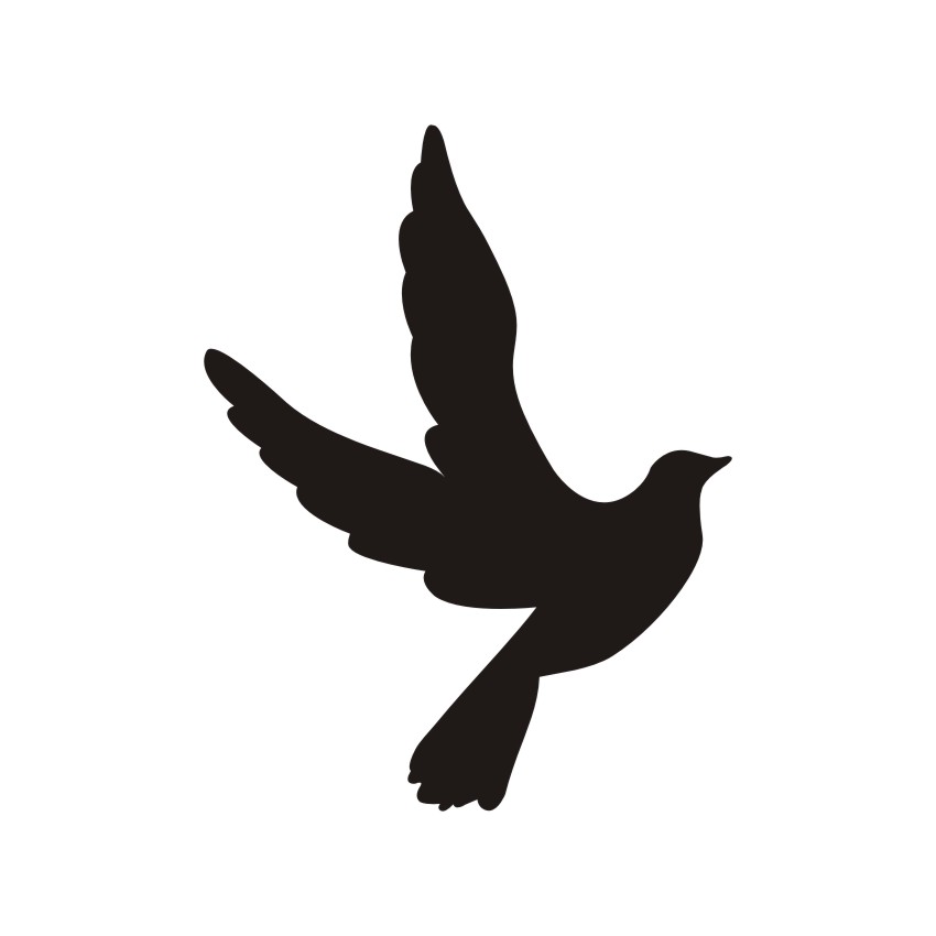 Flying Bird Vector Vectors, Corel Files 850x850 Flying Bird Vector Vectors, Corel Files