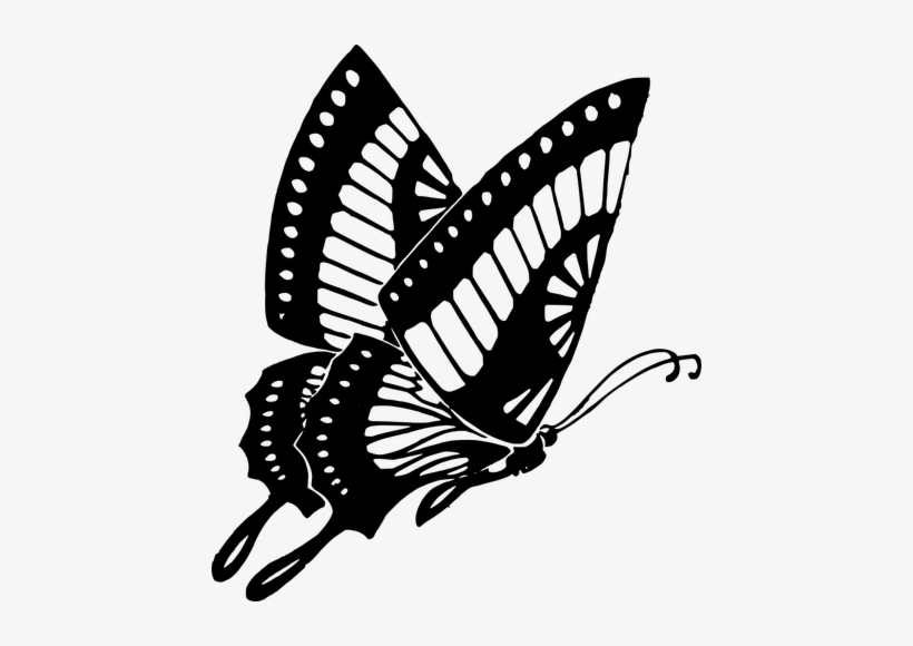 Flying Butterfly Vector