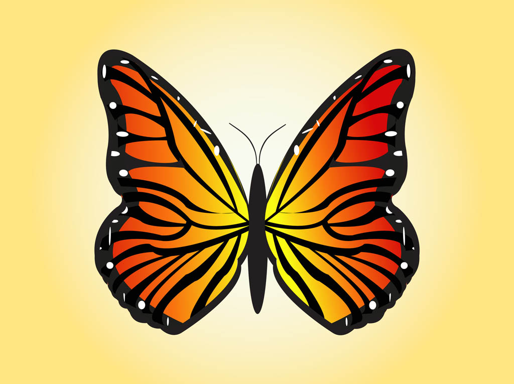 Flying Butterfly Vector At Collection Of Flying Butterfly Vector Free For 4828