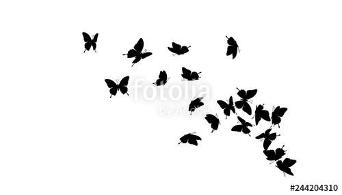 Flying Butterflies Vector Decoration Element Stock Image 500x286 Flying Butterflies Vector Decoration Element Stock Image