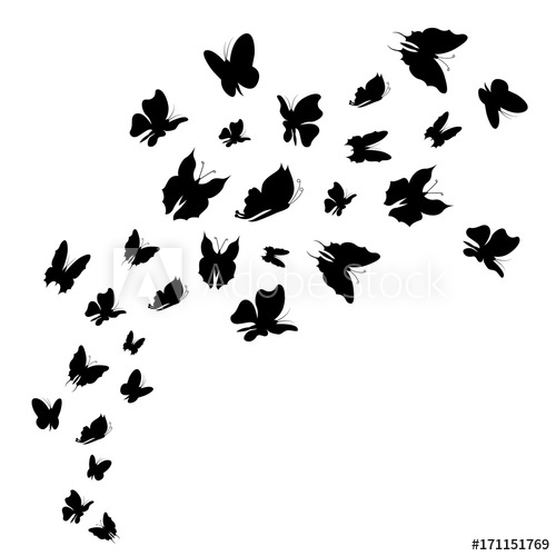 Silhouette Black Fly Flock Of Butterflies Vector 500x500 Silhouette Black Fly Flock Of Butterflies Vector
