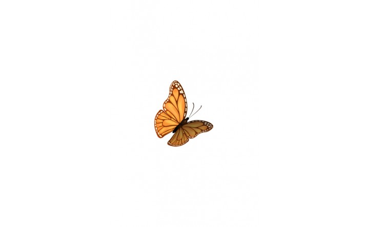 Butterfly Vector Art Pack Illustration Flying In The Air 716x443 Butterfly Vector Art Pack Illustration Flying In The Air