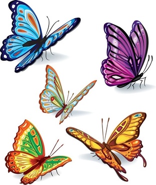 Butterfly Free Vector Download 311x368 Butterfly Free Vector Download