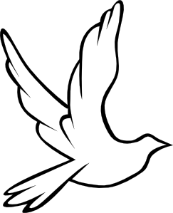 Doves Vector Beautiful Huge Freebie! Download For Powerpoint 243x299 Doves Vector Beautiful Huge Freebie! Download For Powerpoint