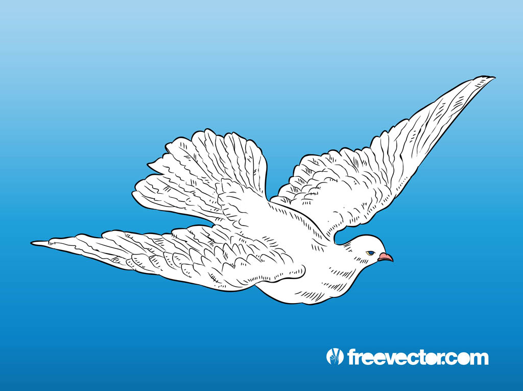 Flying Dove Vector Art Graphics 1024x765 Flying Dove Vector Art Graphics