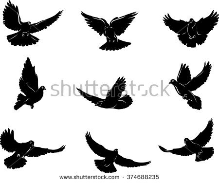 Collection Of 'dove In Flight Drawing' Download More Than 450x376 Collection Of 'dove In Flight Drawing' Download More Than