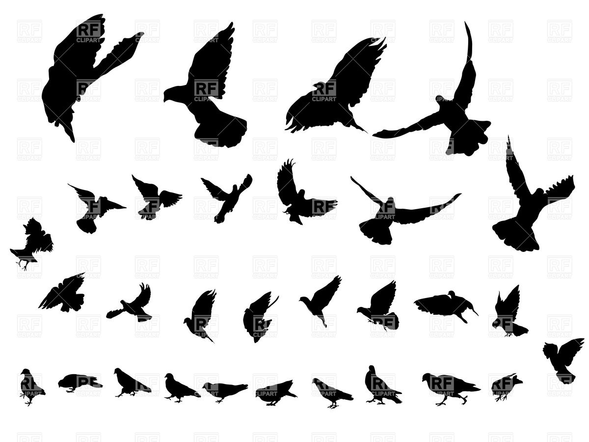 Flying Dove Silhouettes Vector Image Of Plants And Animals Lirch 1200x900 Flying Dove Silhouettes Vector Image Of Plants And Animals Lirch