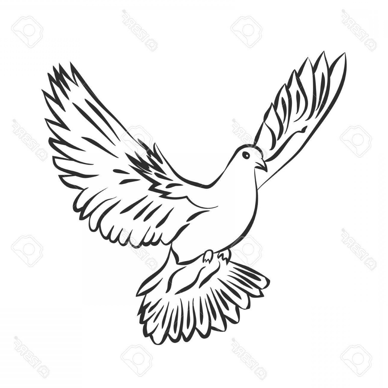 Flying Dove Vector at Vectorified.com | Collection of Flying Dove ...