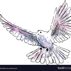 Colored Hand Drawing Dove Vector Catchsplace 300x300 Colored Hand Drawing Dove Vector Catchsplace