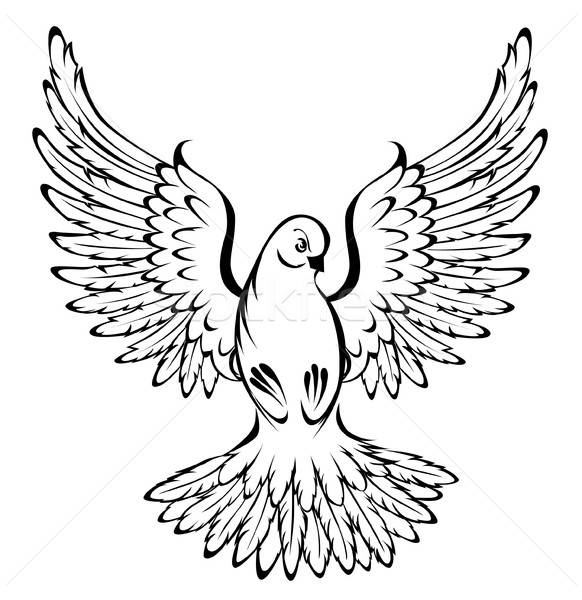 Flying Dove Vector Illustration Nelli Valova 582x600 Flying Dove Vector Illustration Nelli Valova