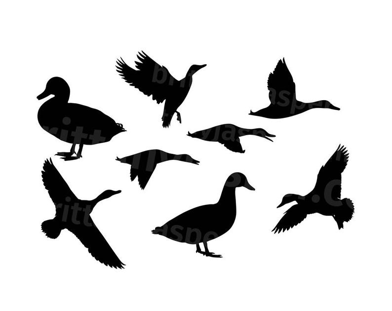 794x630 Duck Silhouettes Vector Clip Art Cutting For Etsy