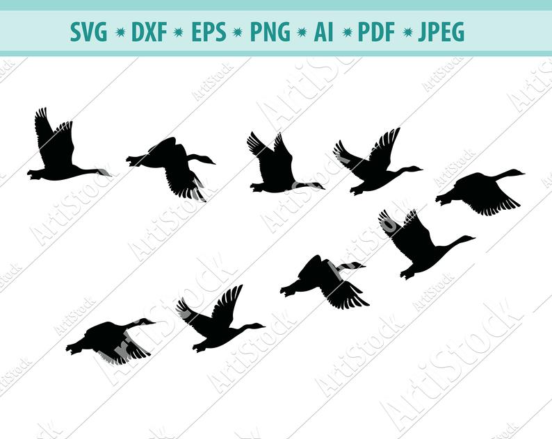 794x632 Flock Of Birds Vector Silhouette Of Birds Flying Etsy
