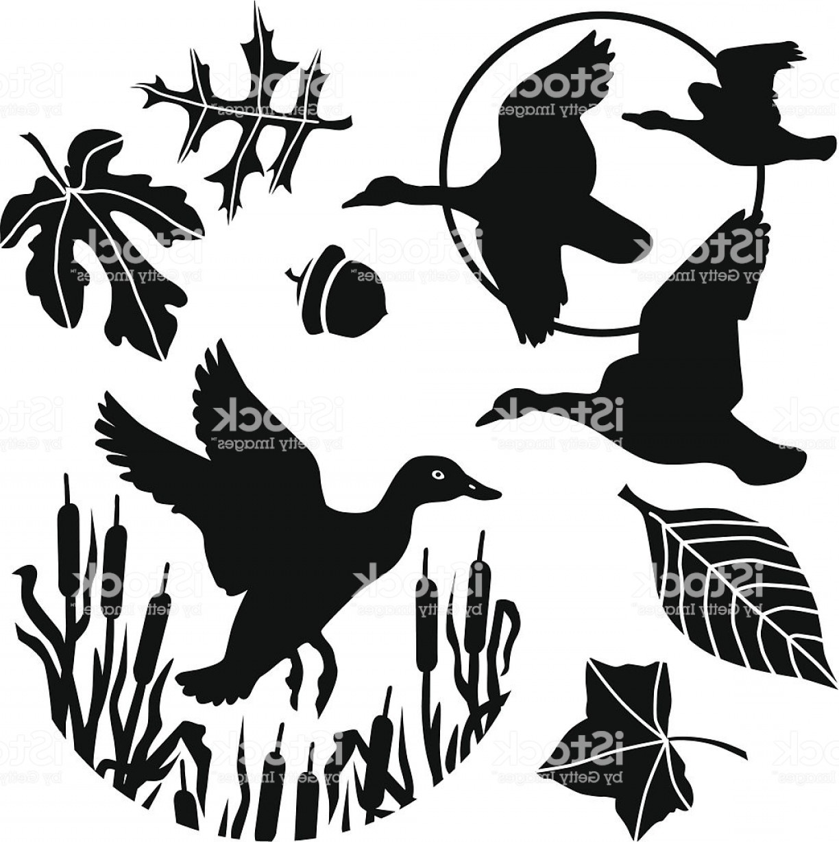 1224x1228 Flying Duck And Geese Gm Soidergi