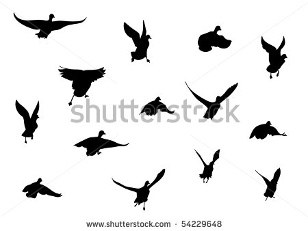 450x338 Flying Duck Silhouette