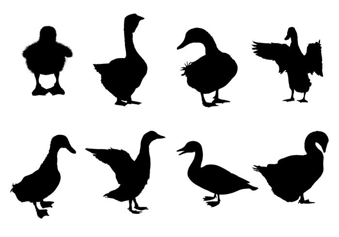 700x490 Free Duck Silhouette Vectors