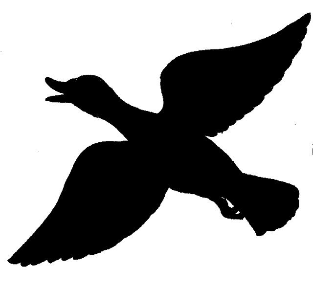 640x591 Free Duck Silhouette B Silhouette Clip Art, Animal Silhouette