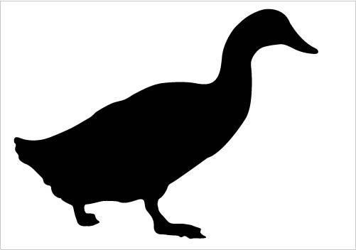 501x352 Huge Collection Of 'duck Silhouette Clip Art' Download More Than